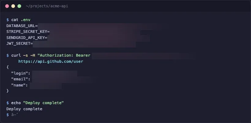 The same terminal screenshot with sensitive regions blurred using ImageMagick, showing redacted credentials while keeping variable names readable