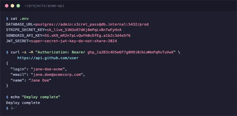 Terminal screenshot showing fake credentials including database URLs, API keys, and personal data in plain text